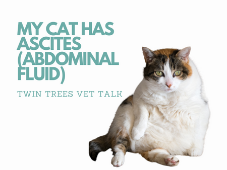 Twin Trees Vet Talk Twin Trees