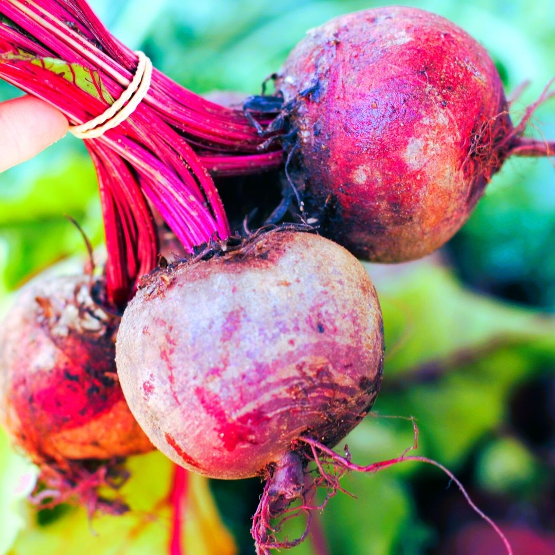 Beautiful Ways With Beets