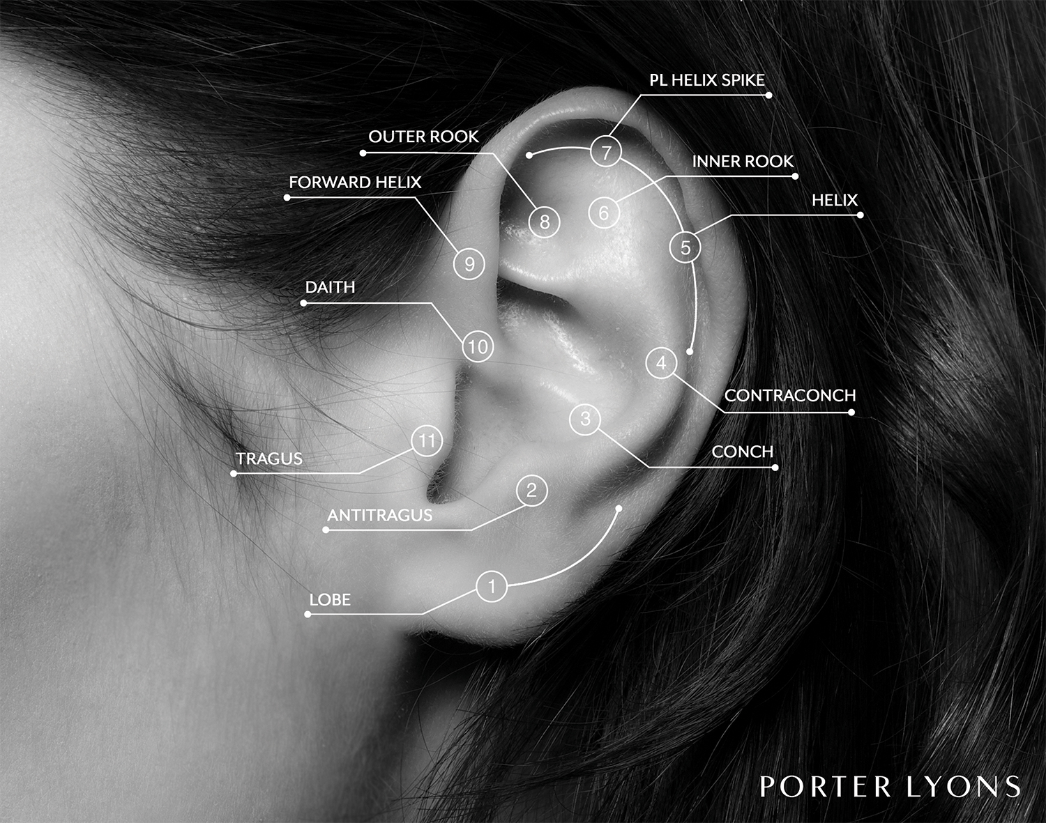 Ear Piercing Guide