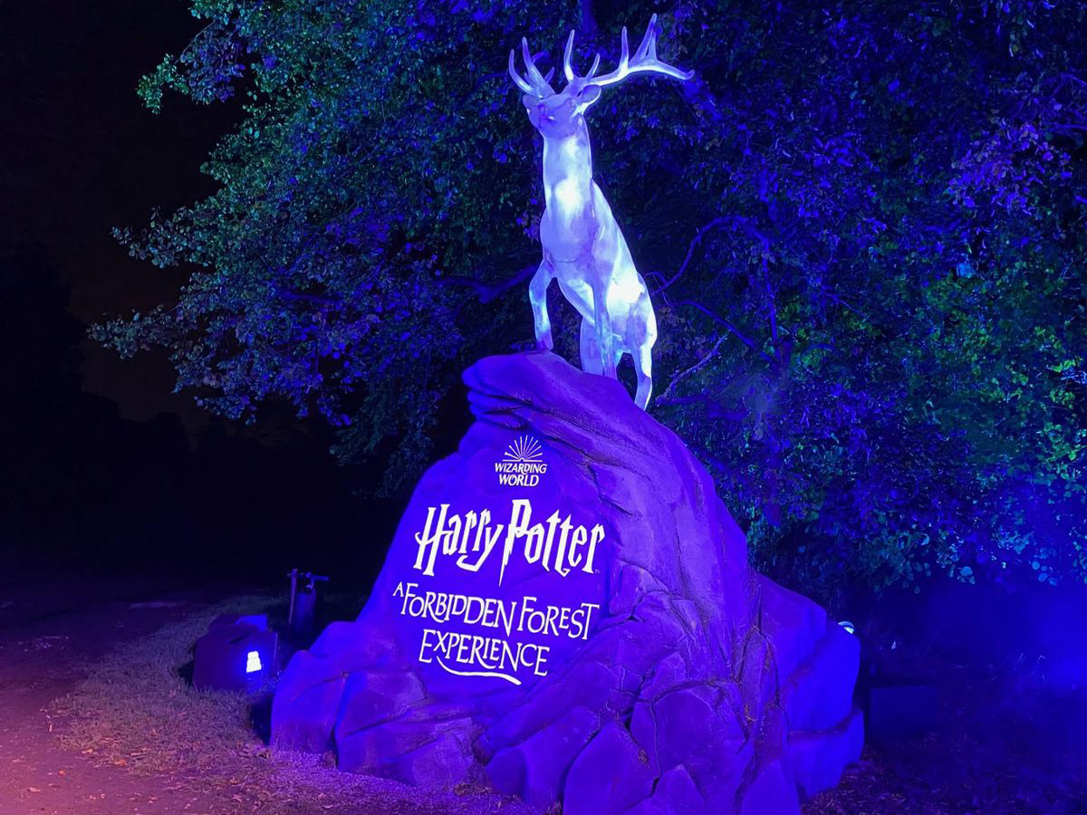 Harry Potter Forbidden Forest Experience Review – Merchimpo