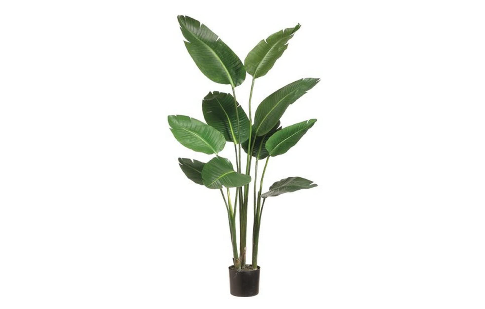 Spring Cleaning Made Easy StepbyStep Guide to Refresh Your Home Môdern Space Gallery