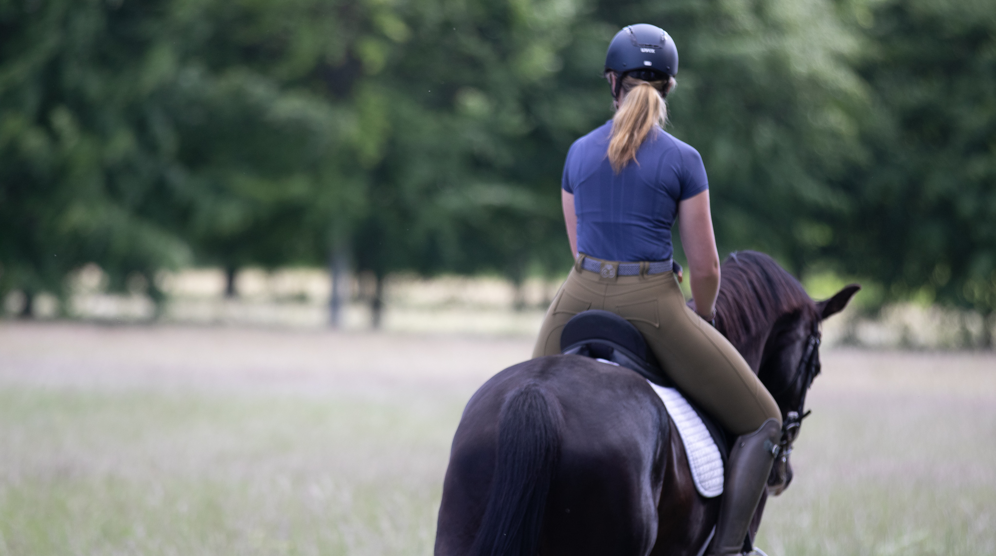Molly Seamless Training Top - Pink – Equeene Equestrian