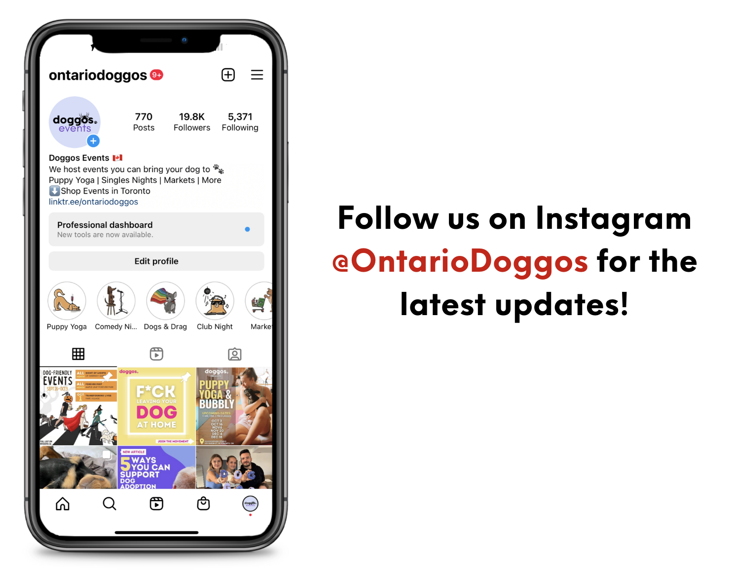 Ontario Doggos Instagram