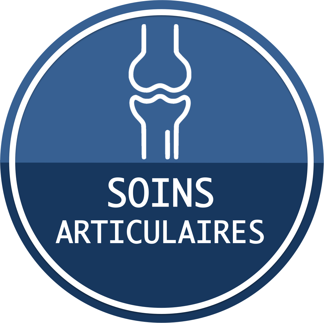 acheter de la nourriture pour chien soins articulaire en ligne