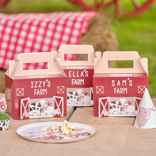 Boys Birthday Party Favours