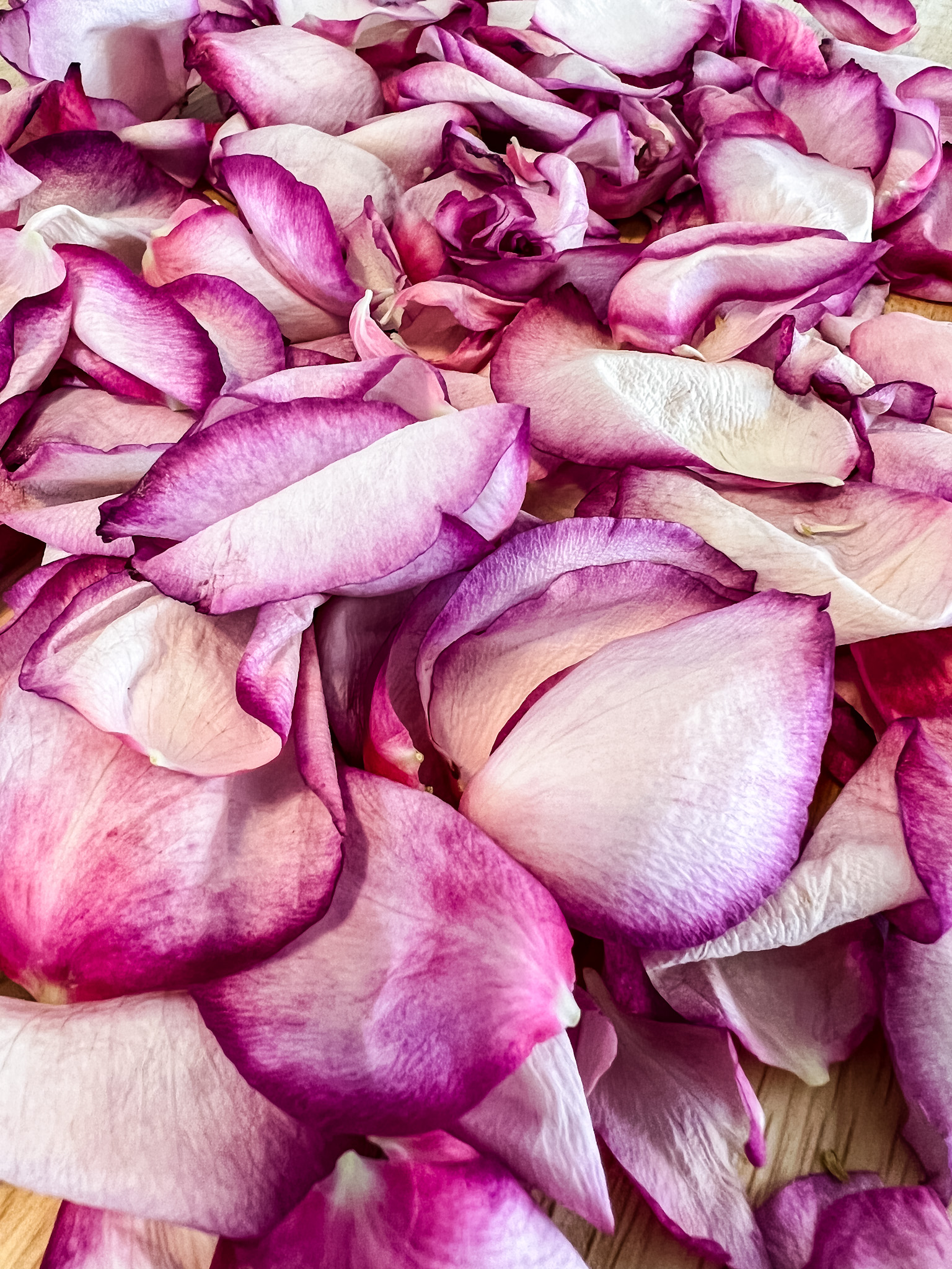 Drying Rose Petals  Natural body care recipes, Dried rose petals, Body  care recipes