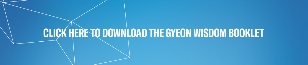 Download the Gyeon coating after care PDF file here