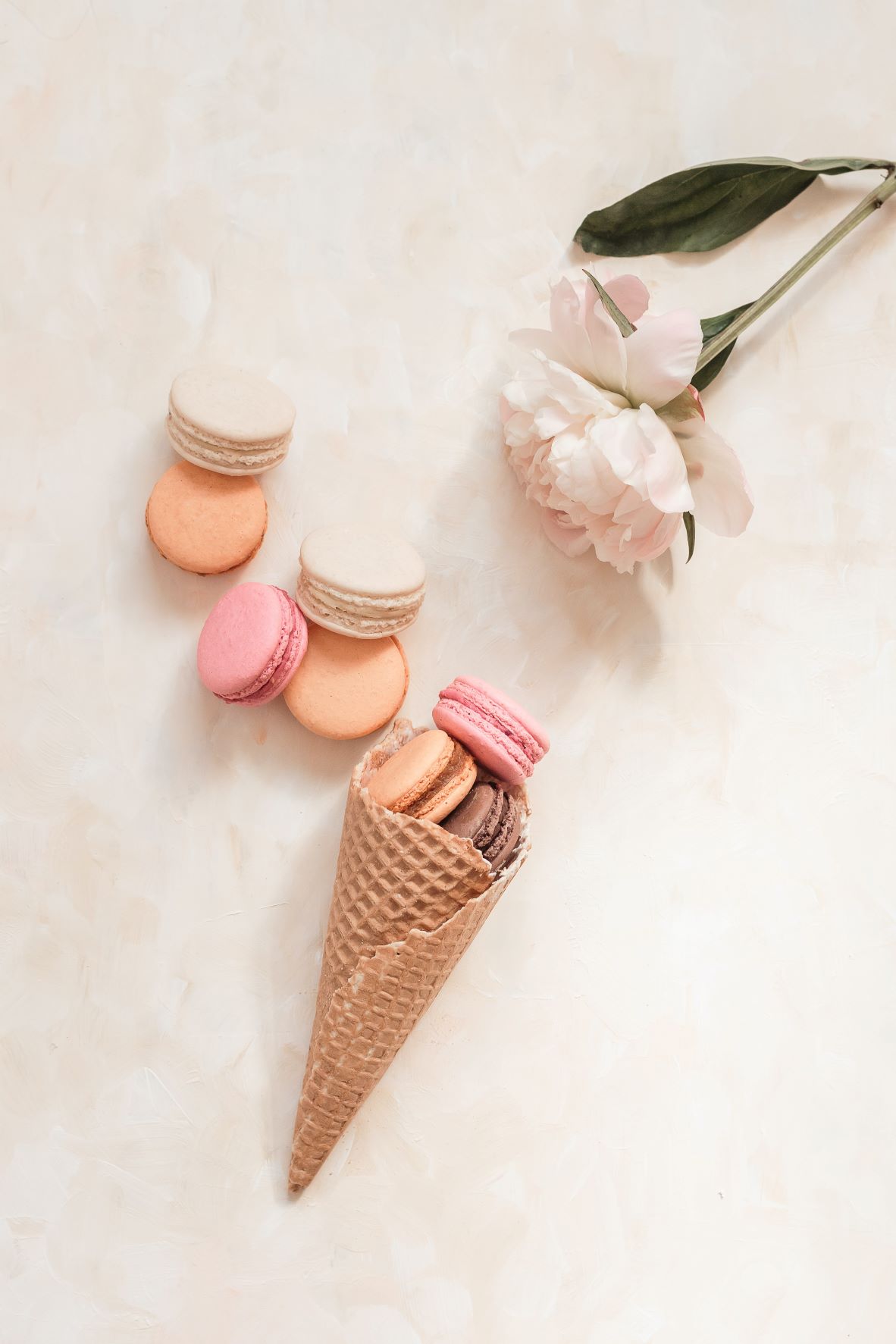 macaroons lay inside a ice cream cone. A fresh white and pink flower lays beside it.